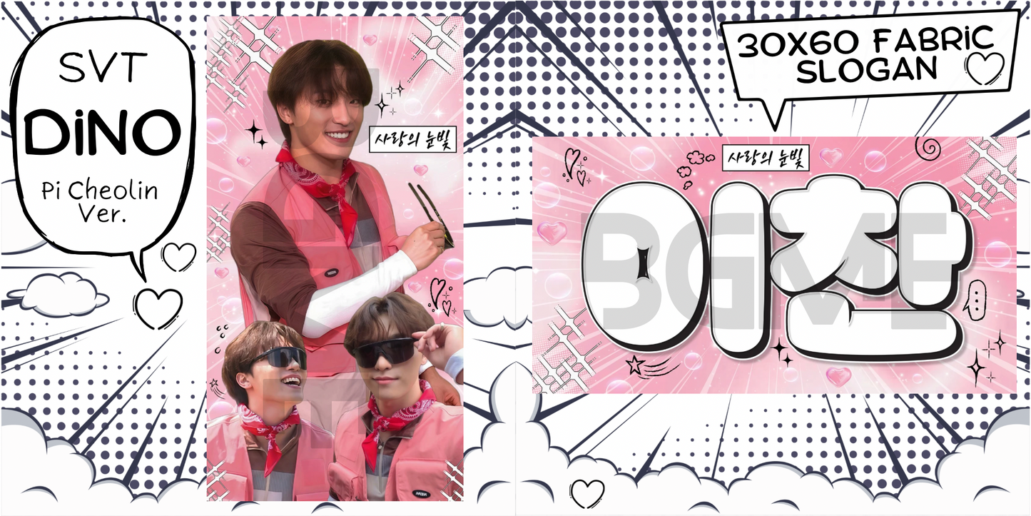 Seventeen Fabric Slogan