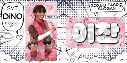 Seventeen Fabric Slogan
