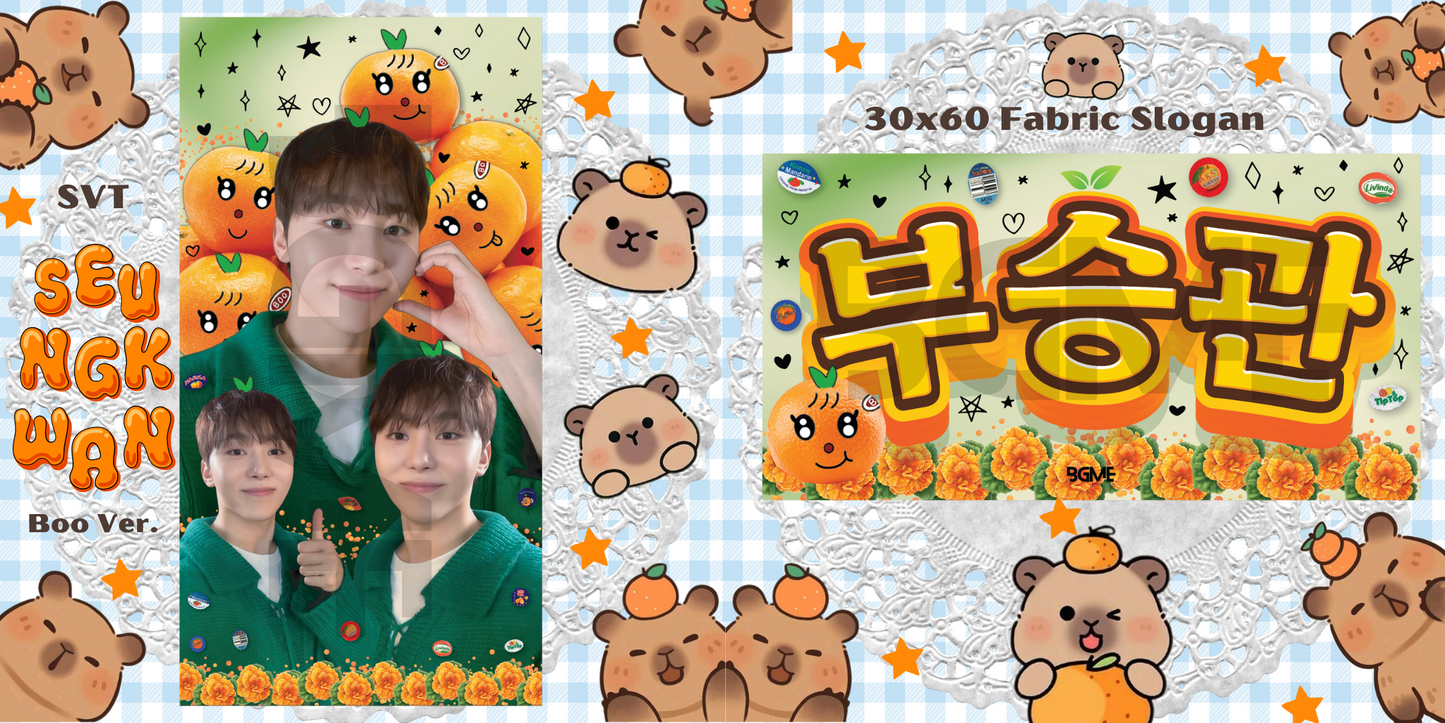Seventeen Fabric Slogan