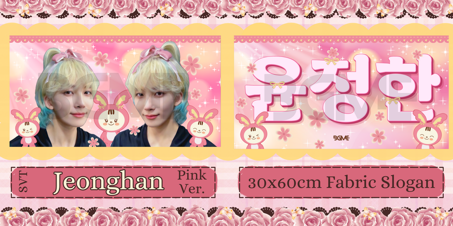 Seventeen Fabric Slogan